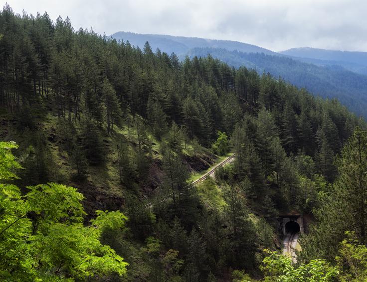 Šarganska osmica | Foto: Dragan Bosnić