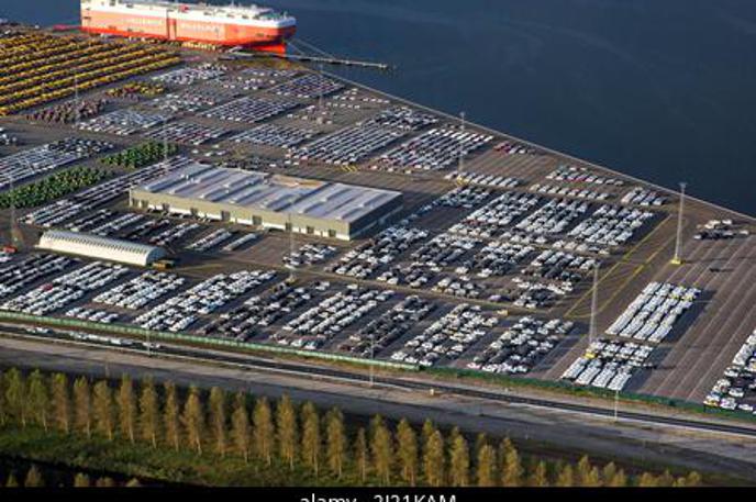 Zeebrugge parkirišče avtomobili | Foto Guliver Image