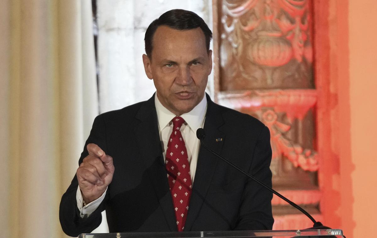 Radoslaw Sikorski | "Kdor se želi boriti z Rusijo, lahko to začne takoj. Ampak ne vidim nikogar, ki bi bil pripravljen storiti to," opozarja poljski zunanji minister. | Foto Guliverimage