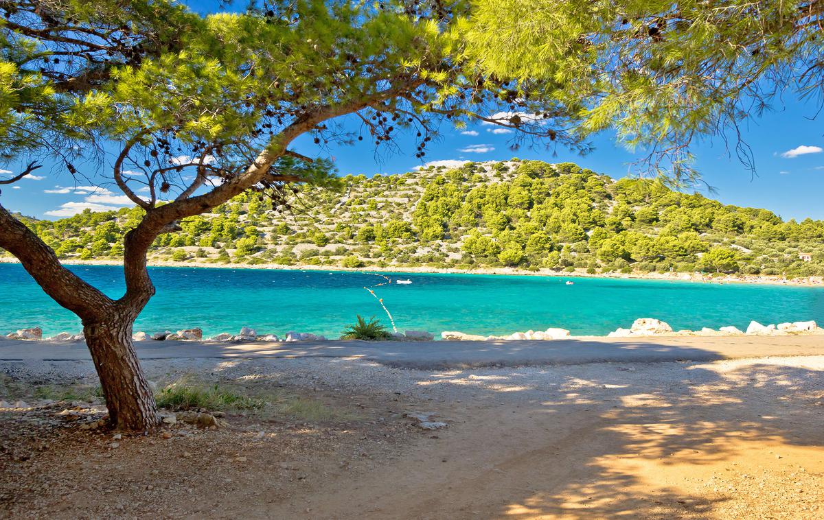 Murter, Dalmacjia | Foto Shutterstock