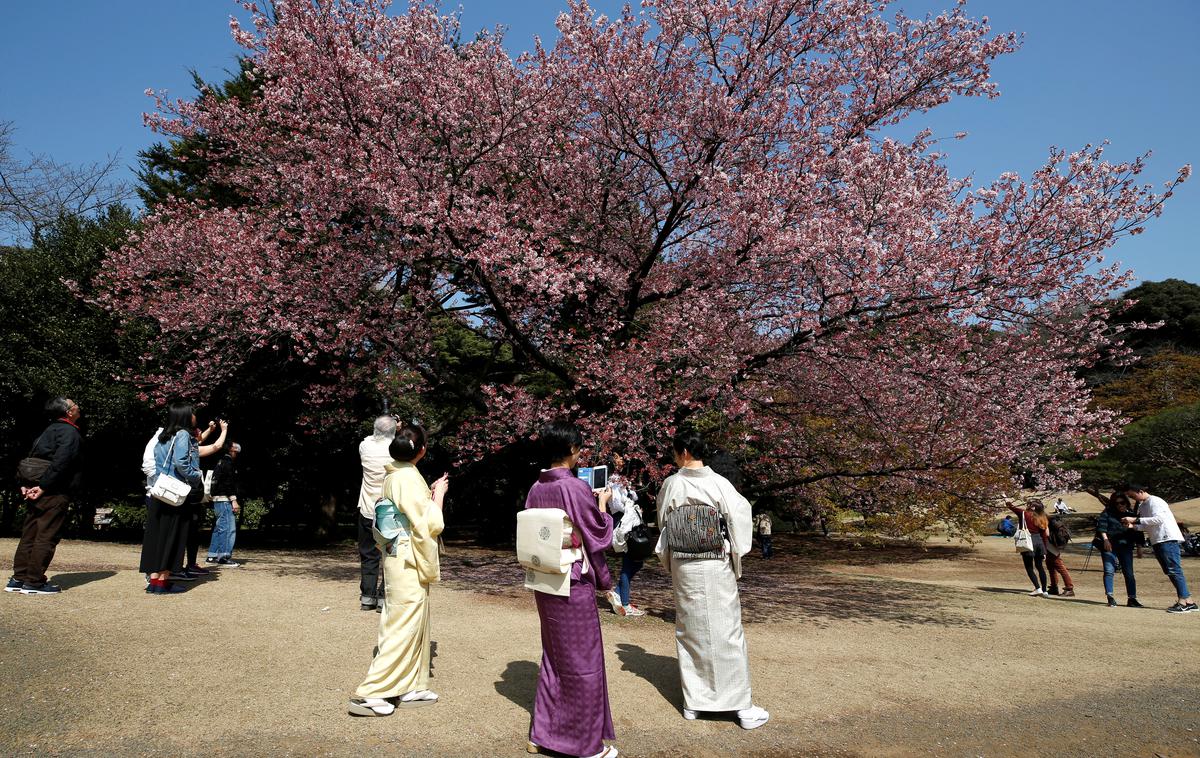 park, Shinjuku Gyoen National Garden | Narodni park in vrt Shinjuku Gyo-en se razteza na več kot 58 hektarih in ponuja tri različne stile pokrajine: francosko, angleško in tradicionalno japonsko. | Foto Reuters