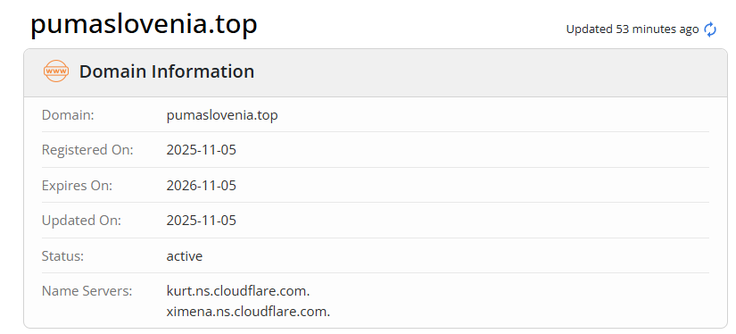 Lažna trgovina Puma, ki nagovarja slovenske kupce, je bila ustvarjena šele 5. novembra letos.  | Foto: Posnetek  zaslona