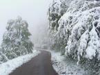 snegolom, Meteoinfo Slovenija