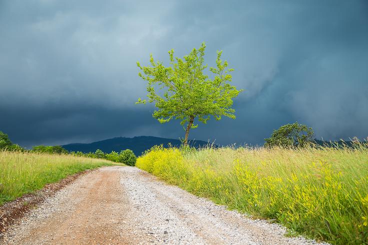 Če se bo temperatura ozračja v Sloveniji dvignila za okoli 3 stopinje Celzija nad temperaturo s konca 19. stoletja, se bo obremenitev zaradi vročine še stopnjevala. | Foto: Getty Images