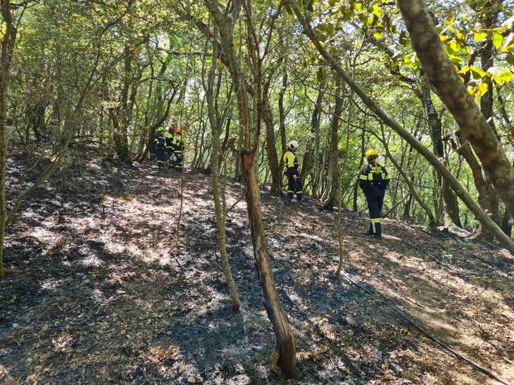 Od noči na torek so na slovenski strani požarišča vrstile izmene gasilcev iz različnih delov države, hkrati jih je delalo do 150. | Foto: Uprava RS za zaščito in reševanje