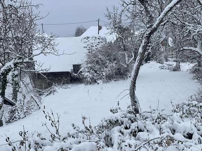 Zasnežilo je Belo Krajino, dvajset centimetrov novega snega #video