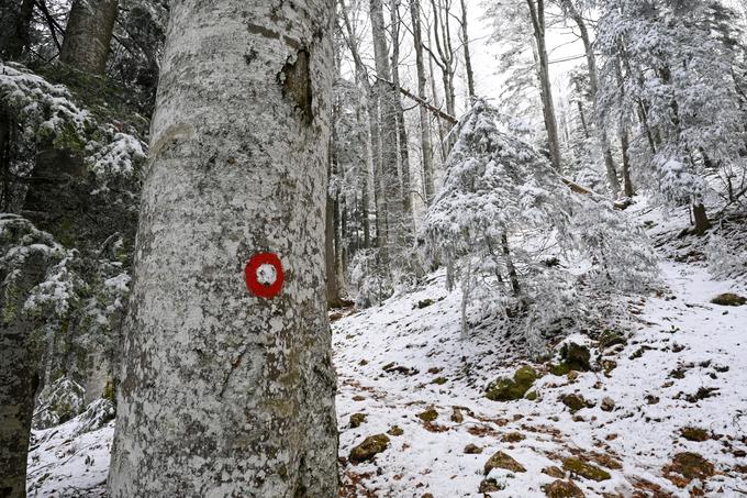 Zimski vzpon na Dobrčo iz Hudega Grabna. | Foto: Matej Podgoršek