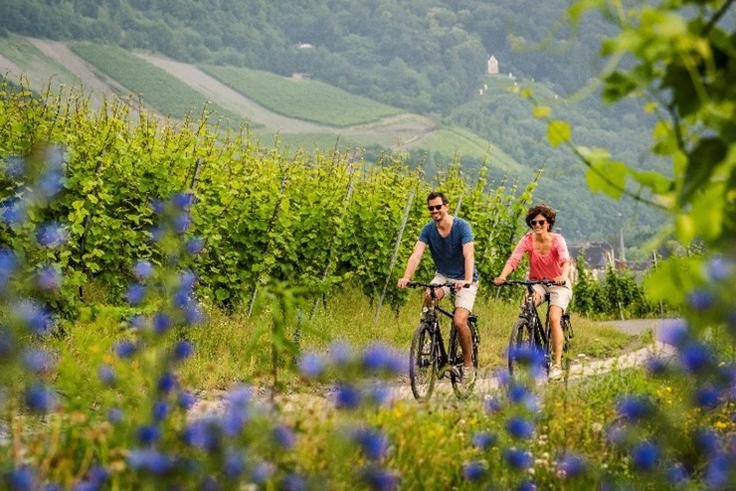 Bernkastel-Kues, kolesarjenje v dolini reke Mozele © DZT / Günter Standl | Foto: 