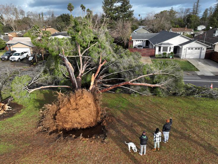 Poplave Kalifornija | Foto: Reuters