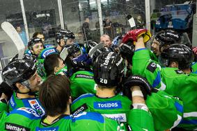 Olimpija začenja na Madžarskem, Sotlar na Jesenice, Koblar v Francijo