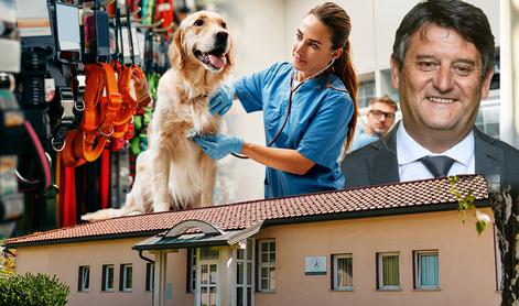 Kateri veterinarji so lani zaslužili največ?