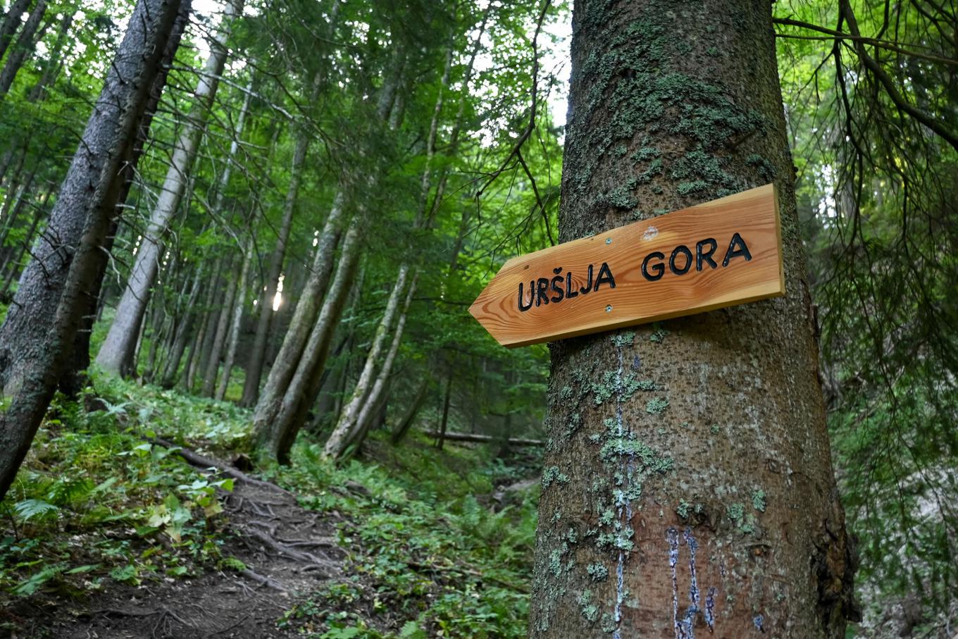 Na praznični dan vse poti vodijo na ponos Koroške, Uršljo goro #video ...