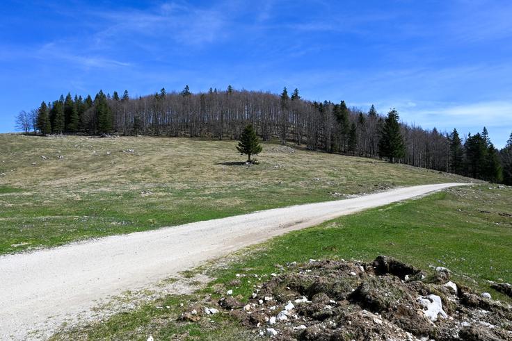 Sestop po cesti proti planini Biba | Foto: Matej Podgoršek