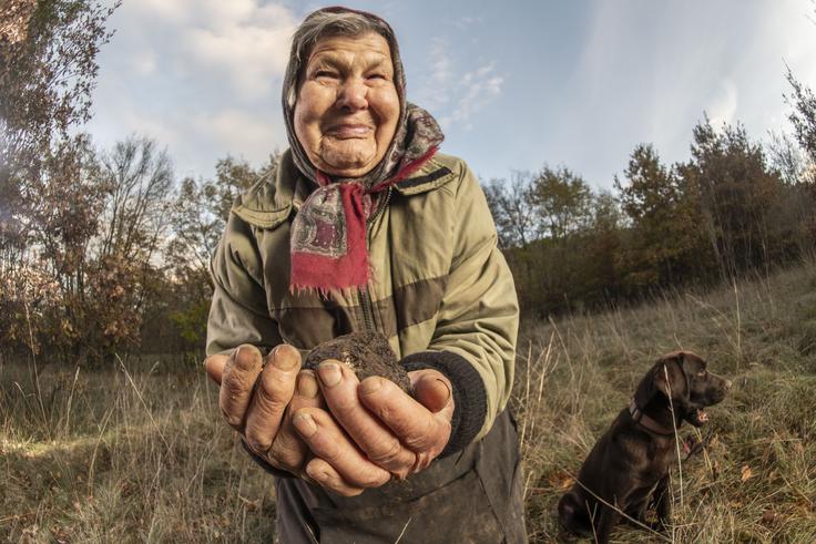 Kmetica Francka Mljač s tartufi, najdenimi na kraški zemlji. | Foto: Branko Čeak