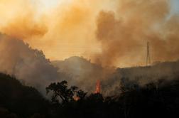 Na Portugalskem vročinski val, zdaj izbruhnil še velik gozdni požar
