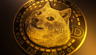 Kriptovalute 2025: kateri meme kovanci lahko prehitijo Dogecoin?