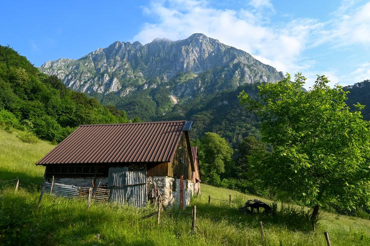 Planina Črča | Foto: Matej Podgoršek
