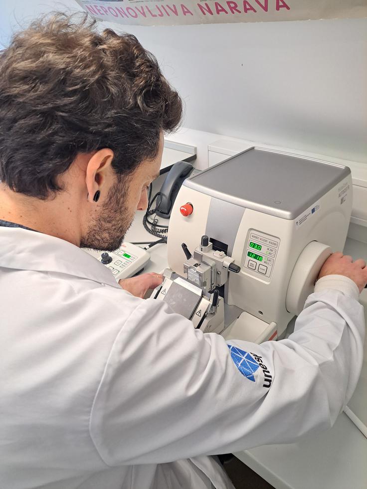Trenutno se večinoma ukvarjata z raziskovanjem medonosnih čebel, delno pa tudi čmrljev. | Foto: Osebni arhiv