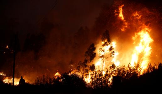 Prijeli 49-letnika, osumljenega več požarov na Goriškem