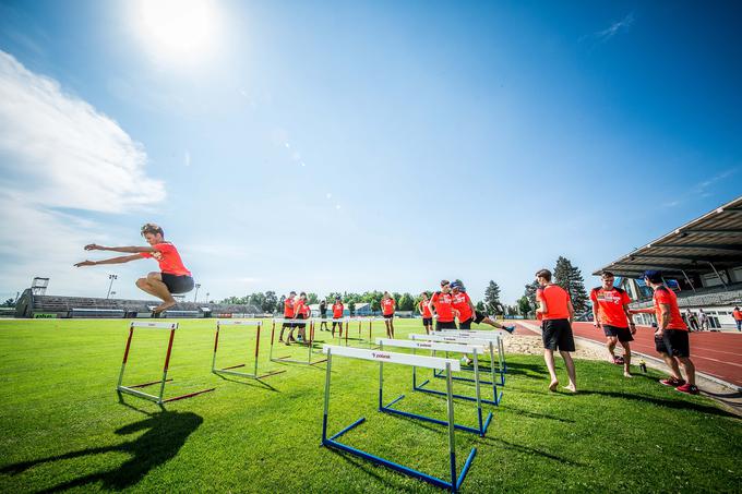 Slovenski skakalci trdo delajo, da bodo pozimi želi sadove. | Foto: Vid Ponikvar