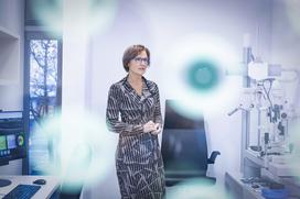 Rodenstock, Pravovid