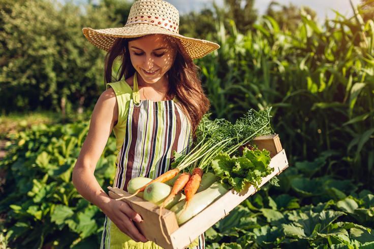 vrt vrtnarjenje | Foto: Shutterstock