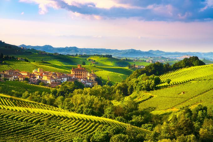 Pogled na prostrane vinograde italijanskega vinskega kraljestva Piemont (Foto: Adobe Stock) | Foto: 