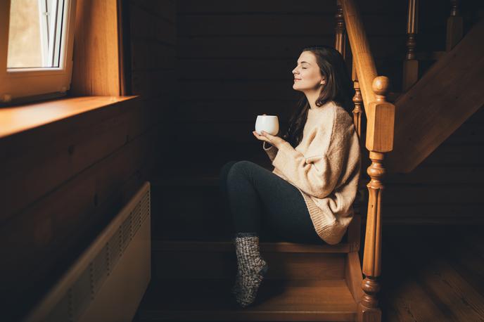 zima, dom | Foto Shutterstock