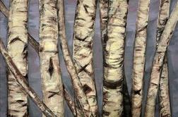 V Novem mestu razstava del 6. novomeških likovnih dni (foto)