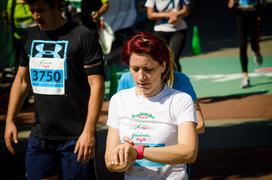 Radenci 2016
