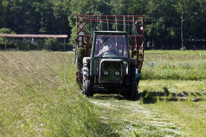 traktor | Moški je najprej padel s traktorja, usodno pa je bilo to, da je eno od koles zapeljalo nanj. Slika je simbolična. | Foto STA