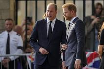 Princ William, princ Harry