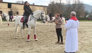 Na praznik svetega Štefana številni blagoslovi konj #video