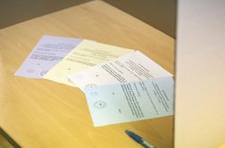 Drugi dan predčasnega glasovanja: znana je udeležba
