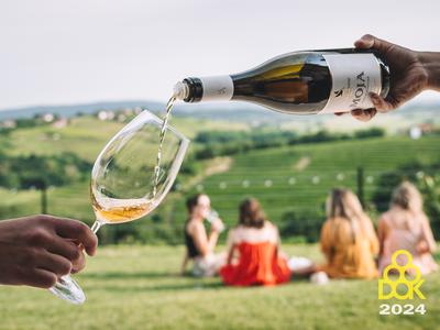 Pristne vinske zgodbe med briškimi griči: vrača se DOK Brda 2025!