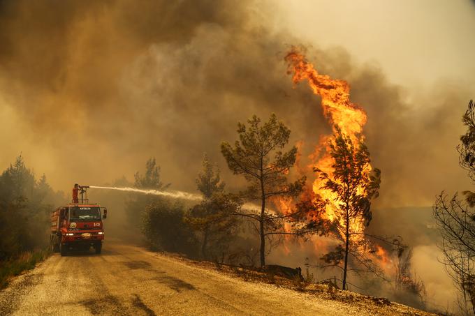 požar, Turčija | Foto: Reuters