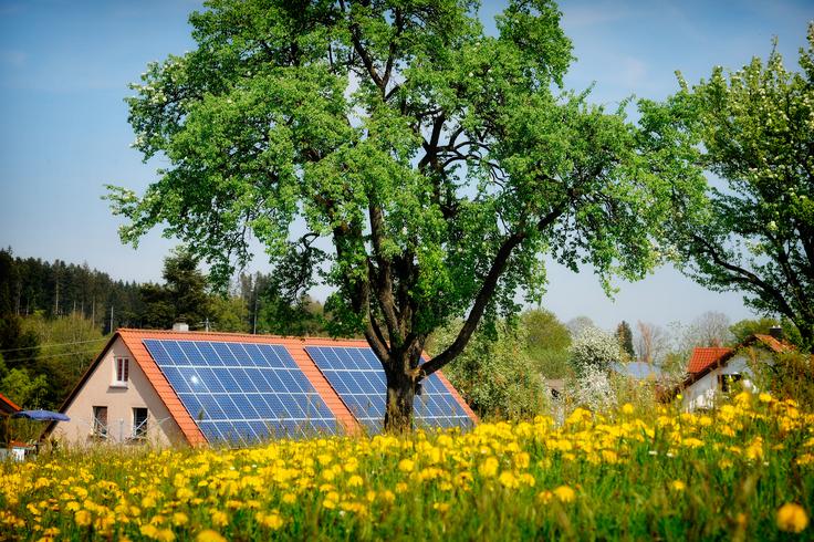sončna elektrarna | Foto: Shutterstock