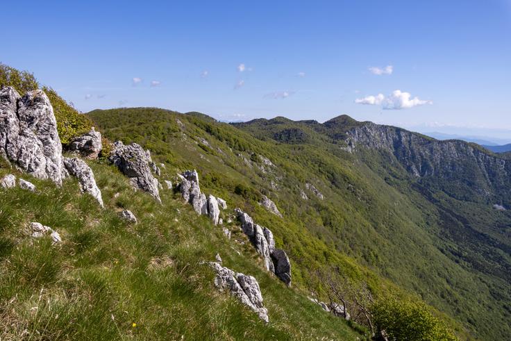 Pogled severno prek planote Nanos. Najvišja točka je Suhi vrh. | Foto: Matej Podgoršek