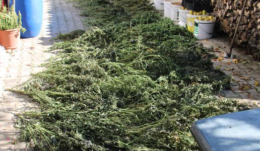 Hišna preiskava pri Postojni: 45-letnik skrival večjo količino prepovedanih drog