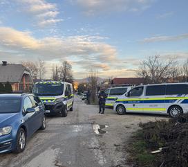 Novo mesto, policija, varnost