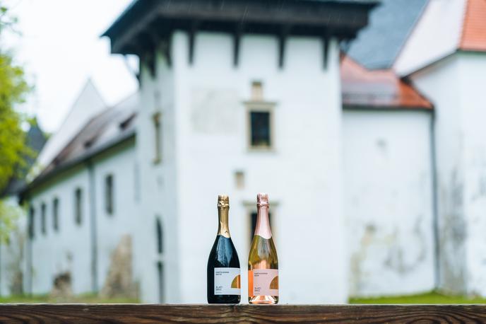 Zlati grič, december 2025 | Penine Carthusiana zorijo v Otakarjevi kleti Žičke kartuzije, kjer je temperatura vse leto med 8 in 12 stopinjami Celzija, popolna tišina in naravna tema pa ustvarjata pogoje, ki jih sodobna tehnologija ne more posnemati.  | Foto Zlati grič