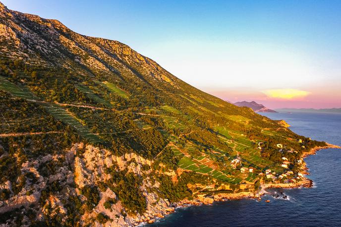 Hrvaška vina | Vinogradi na Pelješcu | Foto HTZ