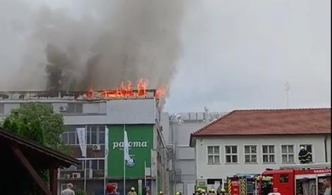 Velik požar zajel tovarno Paloma, na delu več kot 130 gasilcev #foto #video