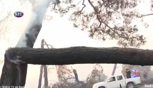 Drevo je padlo na reševalno vozilo, gasilec se je komaj rešil #video