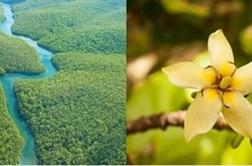 Nagradna igra: Sodelujte v nagradni igri in doživite brazilsko poletje!