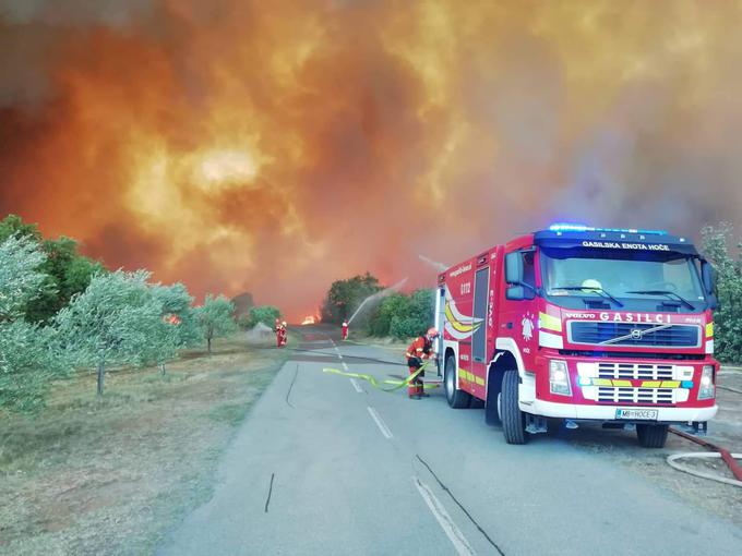Požar na Krasu je bila ena največjih preizkušenj za Slovenijo v minulem sušnem poletju. | Foto: Matjaž Marušič / gasilska enota Nova Gorica