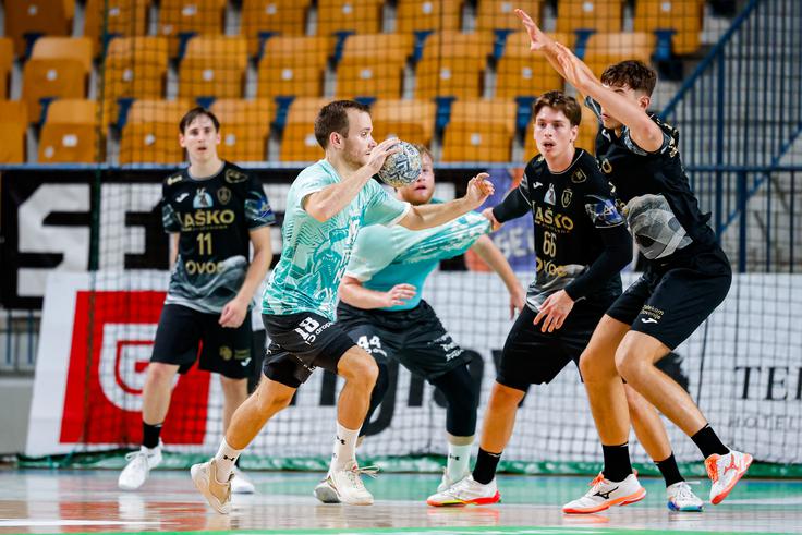 Celje Pivovarna Laško - Trimo Trebnje | Foto: Aleš Fevžer