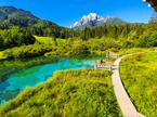 Zelenci
