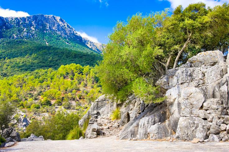 Majorka, Serra de Tramuntana | Foto: Shutterstock