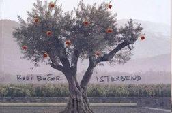 Rudi Bučar in Istrabend